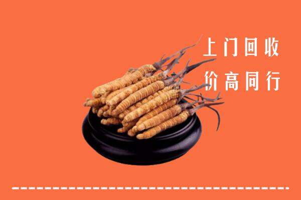 临沂回收冬虫夏草