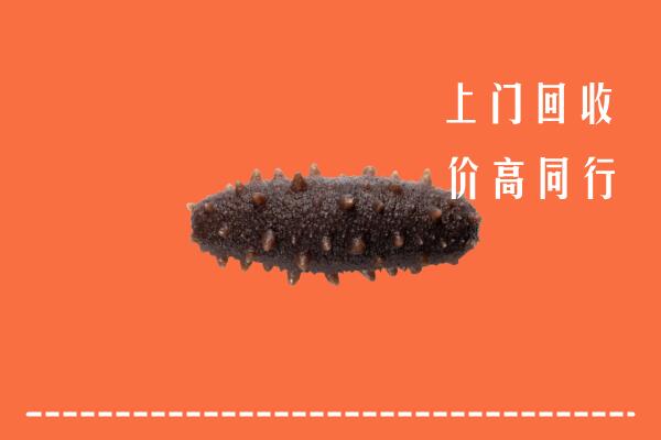 临沂回收海参