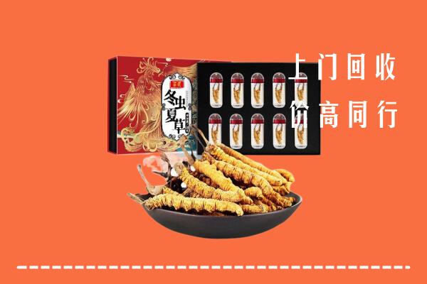 临沂回收虫草
